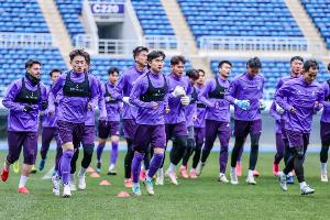 星空体育-受大风影响！记者：津门虎明天没办法和大连英博比赛，将返回天津